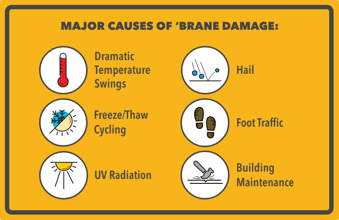 Major causes of 'brane damage