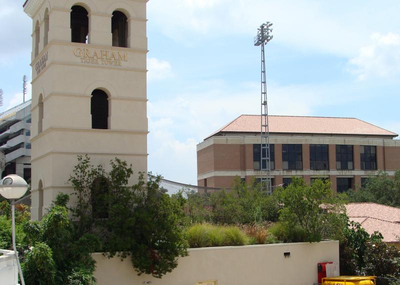 LSU - Tiger Den