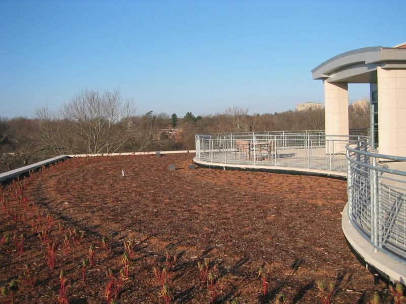 Fayetteville Public Library