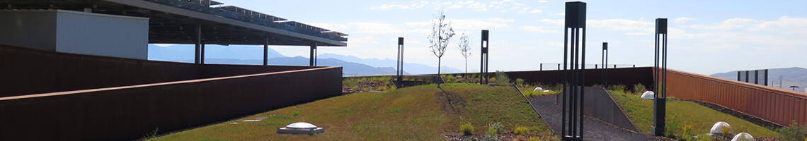 green roof