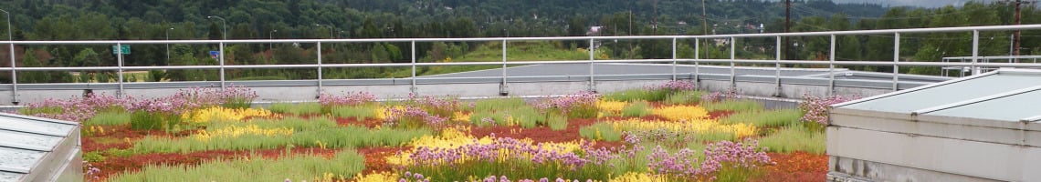 garden roof