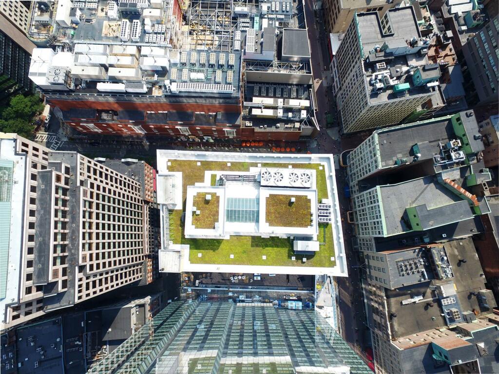 Green roof restoration project atop the Millennium Tower Burnham Building