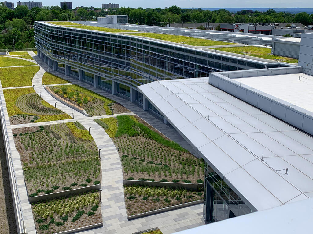 LG Electronics North American Headquarters Green Roof, rooftop garden