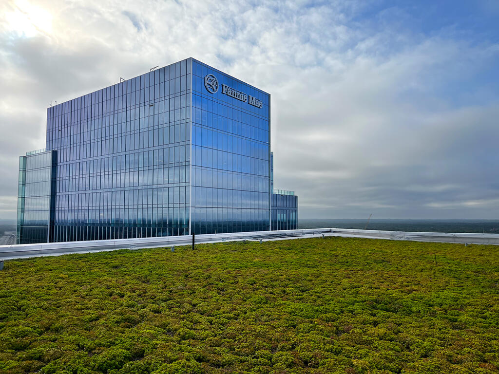 vegetated roof, green roof, amenity deck