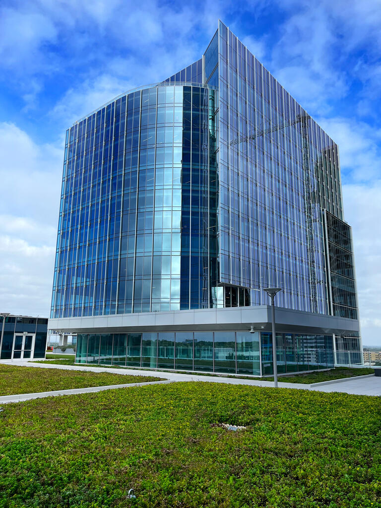 vegetated roof, green roof, amenity deck