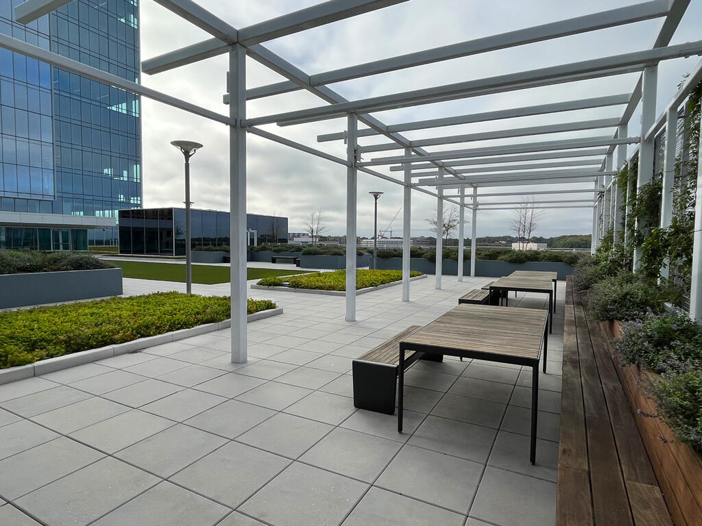 vegetated roof, green roof, amenity deck