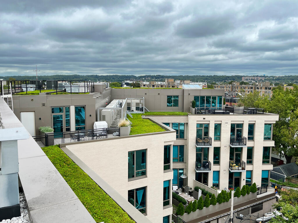 vegetated roof, green roof, amenity deck