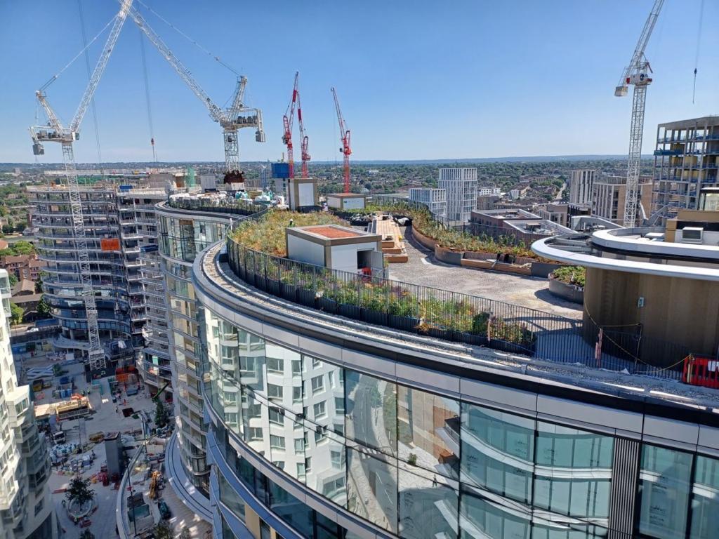 vegetated roof, green roof, amenity deck