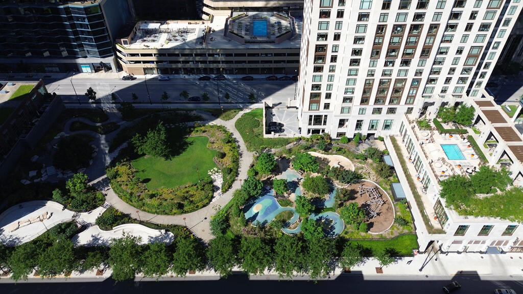 vegetated roof, green roof, amenity deck