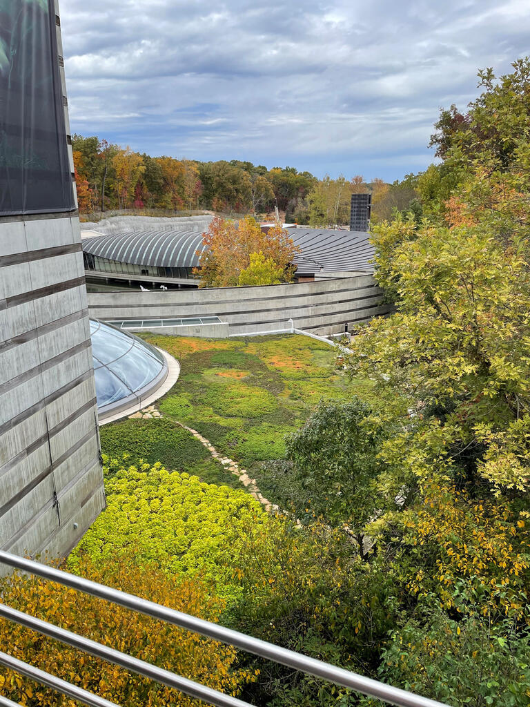 vegetated roof, green roof, amenity deck