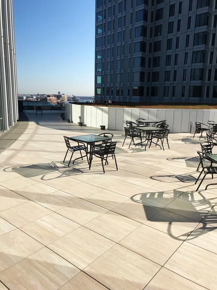 vegetated roof, green roof, amenity deck