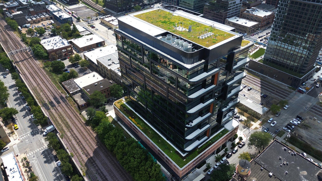 vegetated roof, green roof, amenity deck