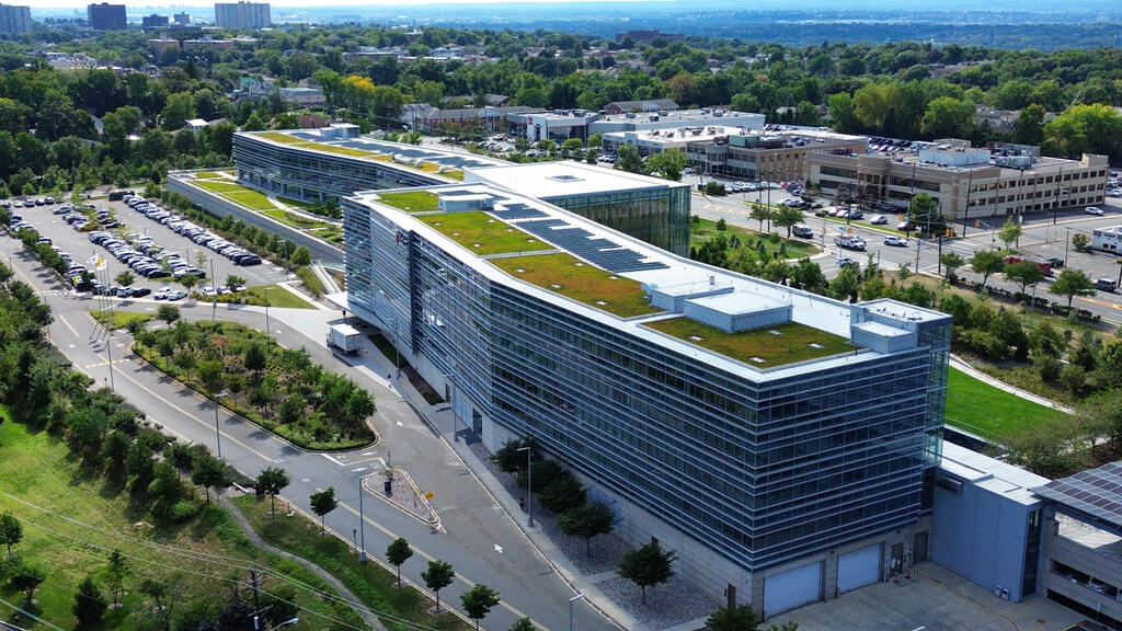 vegetated roof, green roof, amenity deck