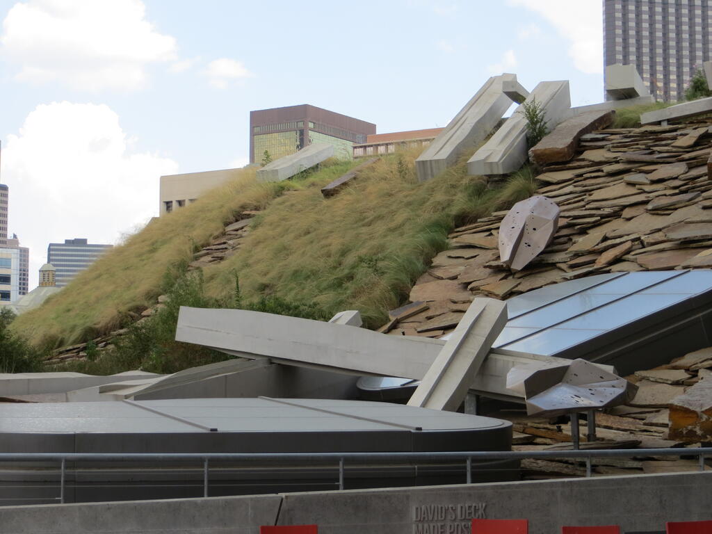 vegetated roof, green roof, amenity deck