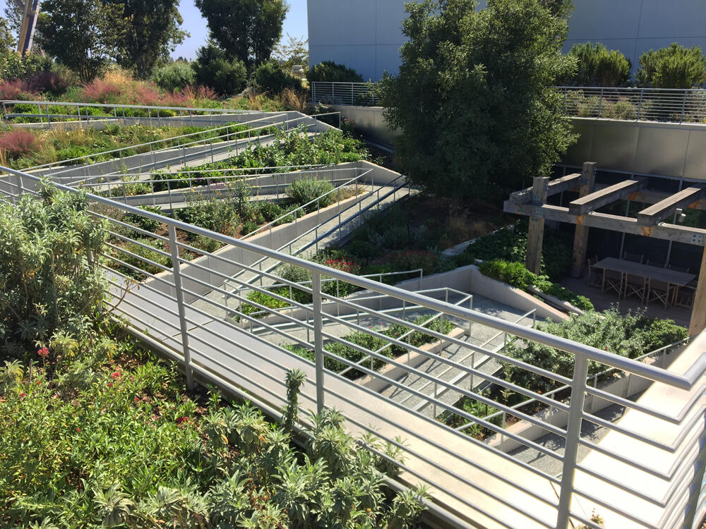 vegetated roof, green roof, amenity deck