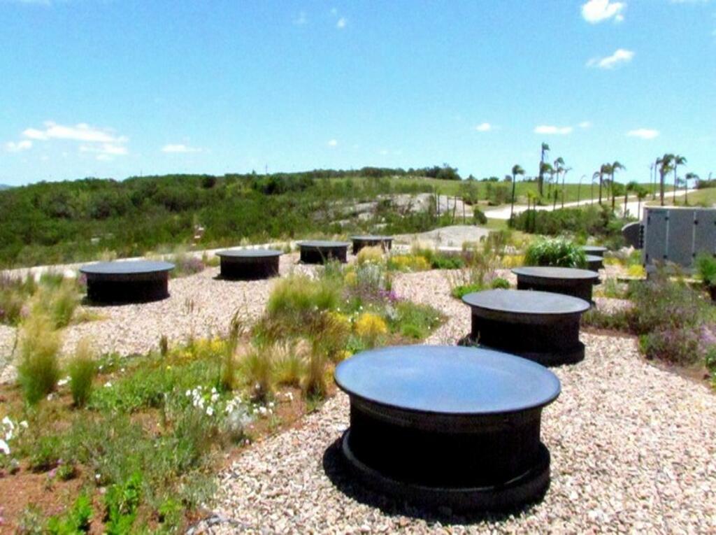 garden roof