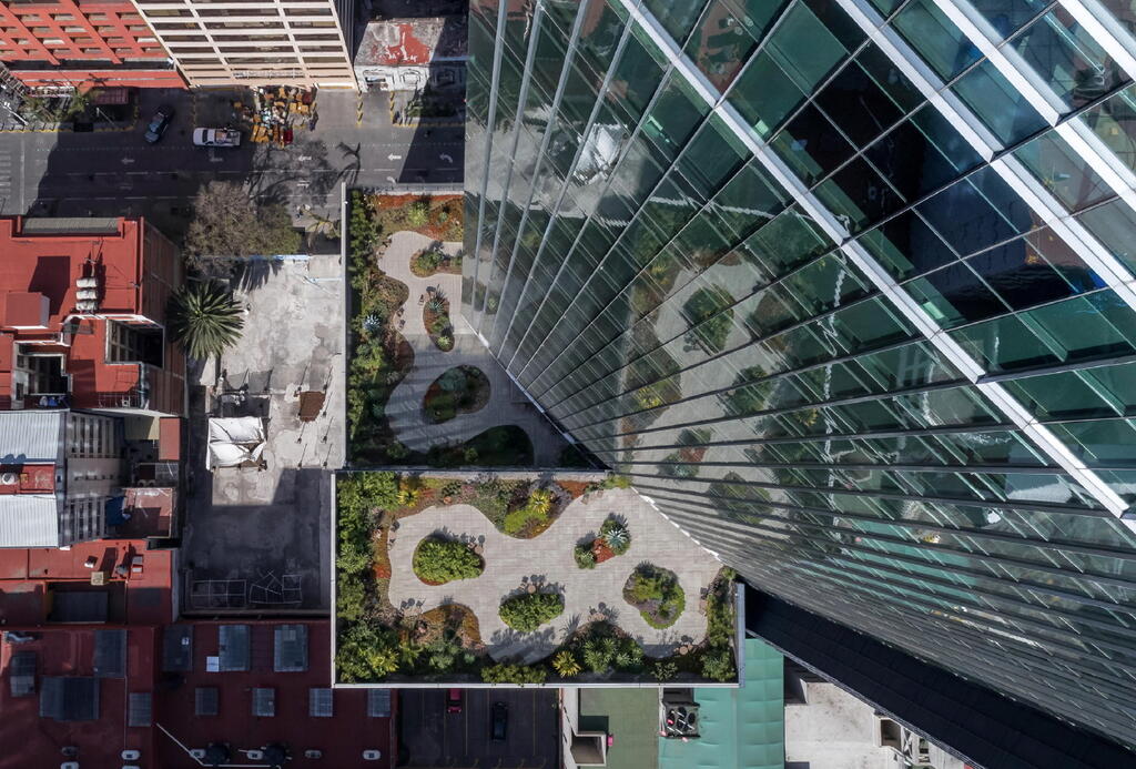 garden roof