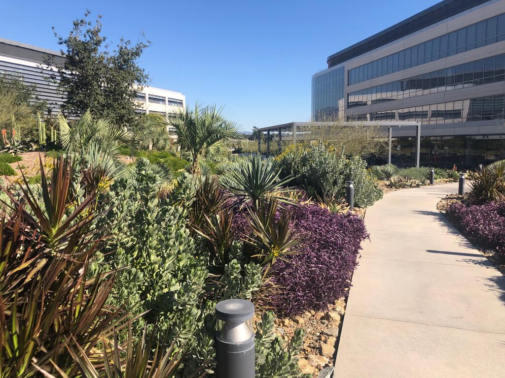 Broadcom Campus