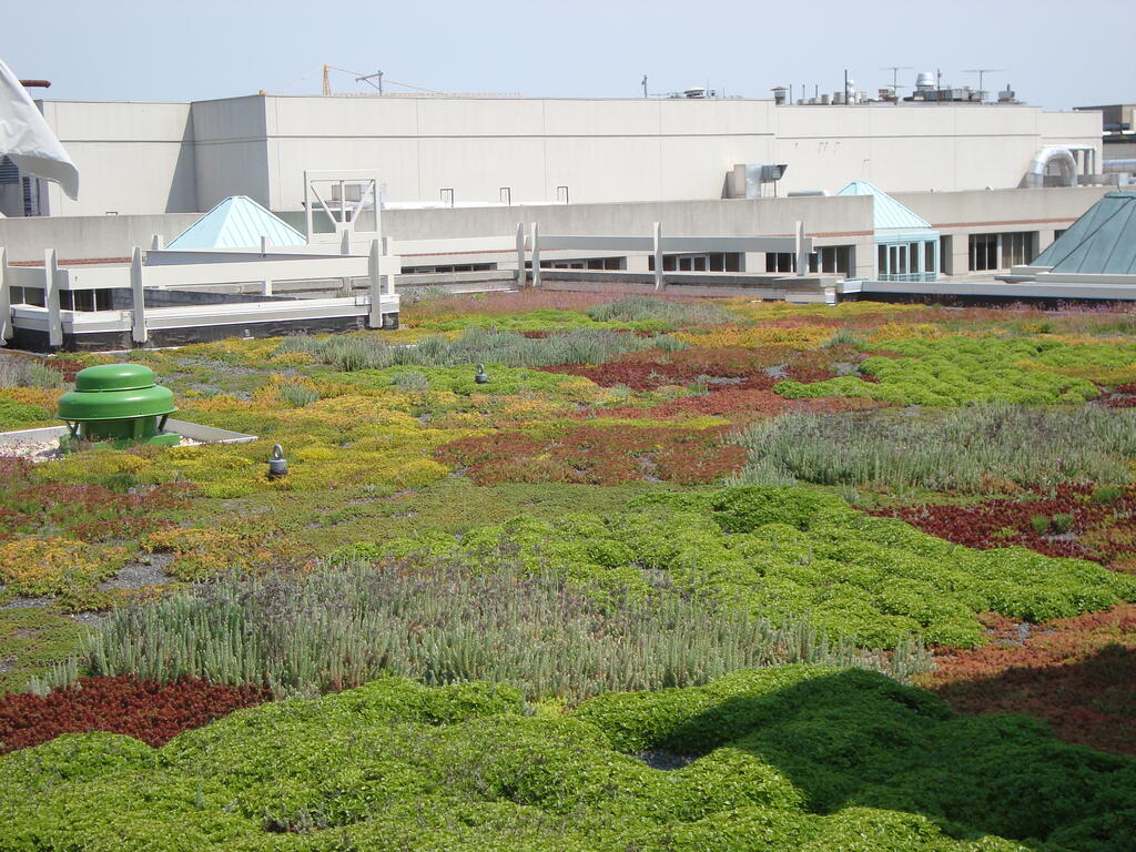 World Wide Fund for Nature Headquarters 