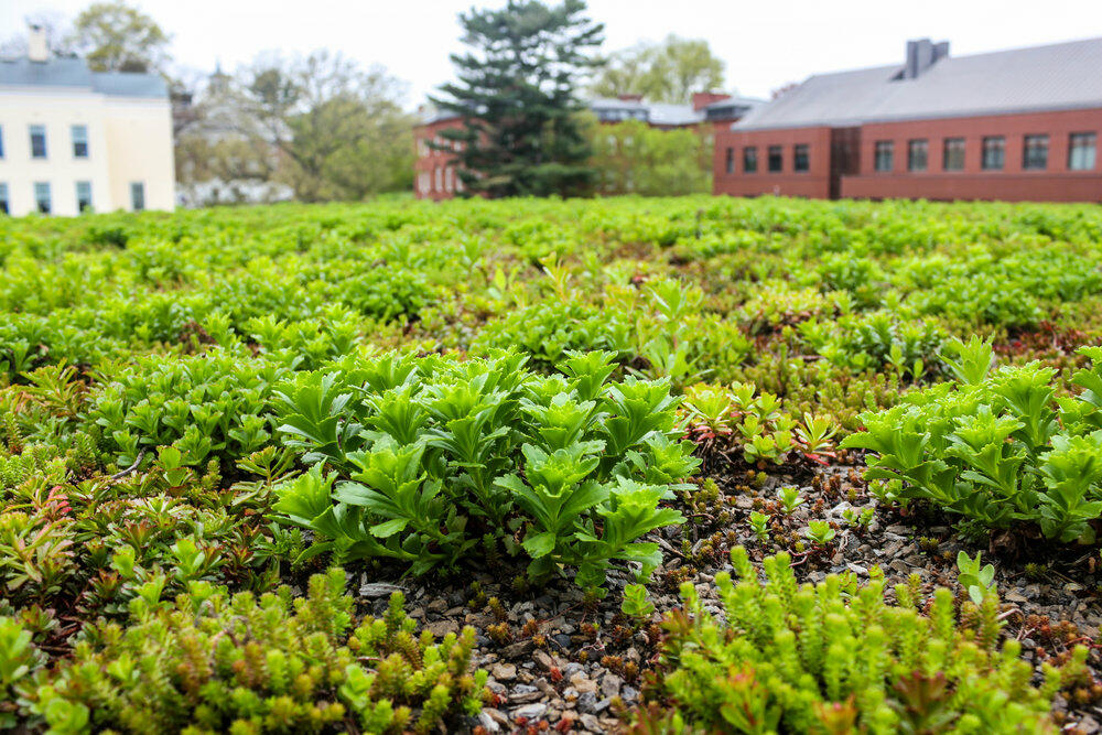 Amherst College New Science Center