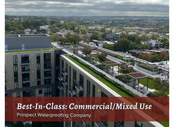 vegetated roof, green roof, amenity deck