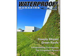 vegetated roof, green roof, amenity deck